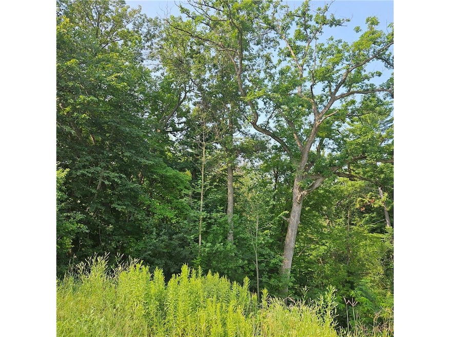 xxx Nelson Dr, Elmwood, WI 54740 - photo 1