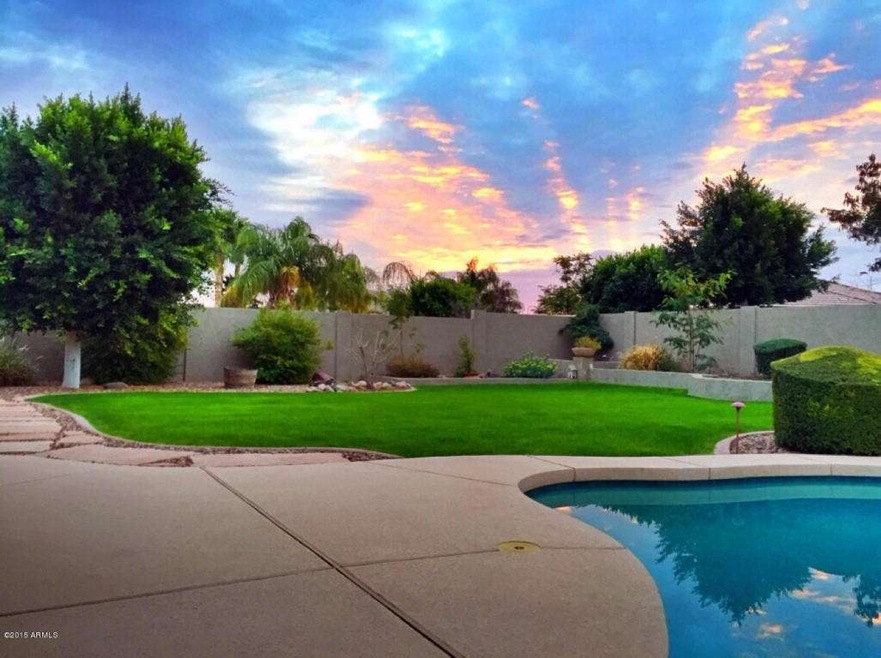 Back Yard Oasis