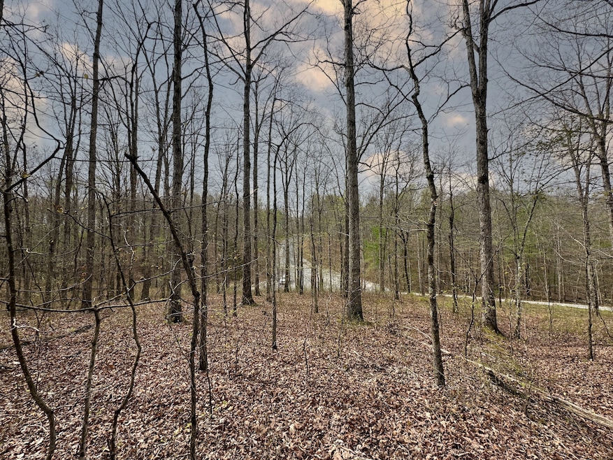 0 Ridgewood Dr unit RTC2791892, McEwen, TN 37101 - photo 1