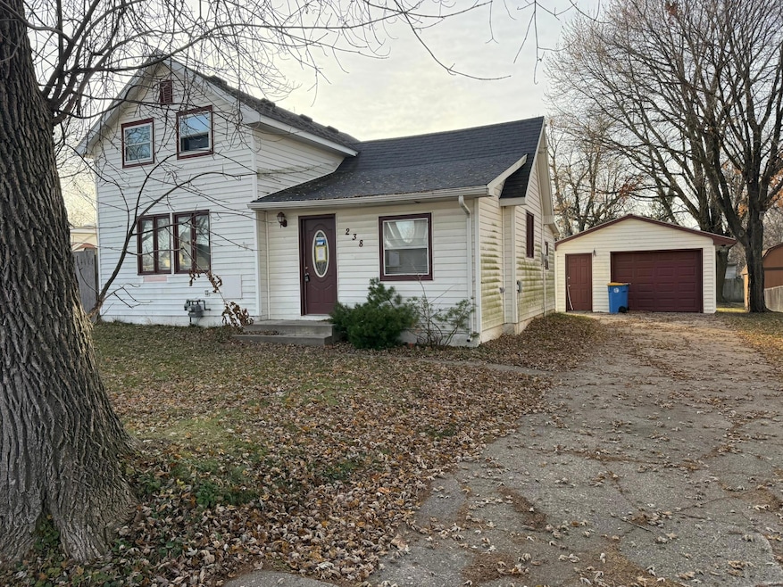 238 Locust Ave, Owatonna, MN 55060 - photo 1