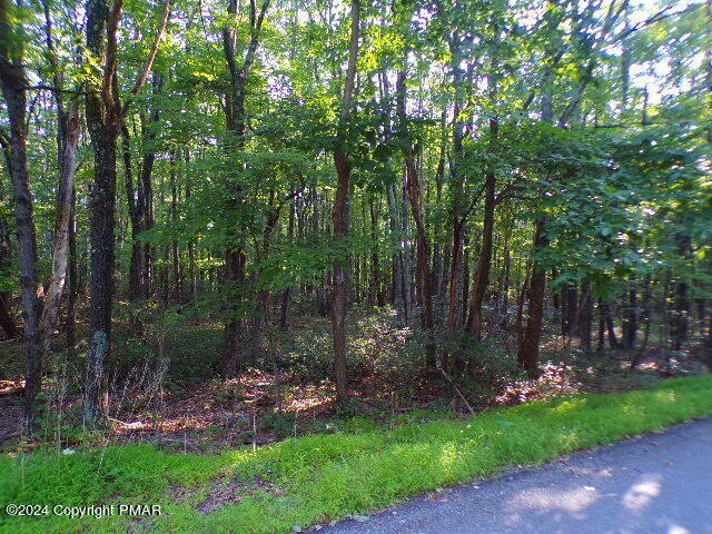 2505/2511 Green Forest Ct, Polk Township, PA 18058 - photo 1