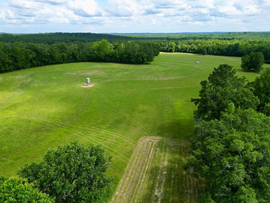 187 County Road 3343, Brundidge, AL 36010 - photo 1