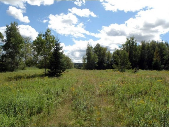 0 Bricketts Crossing Rd unit 4343979, Cabot, VT 05647 - photo 1