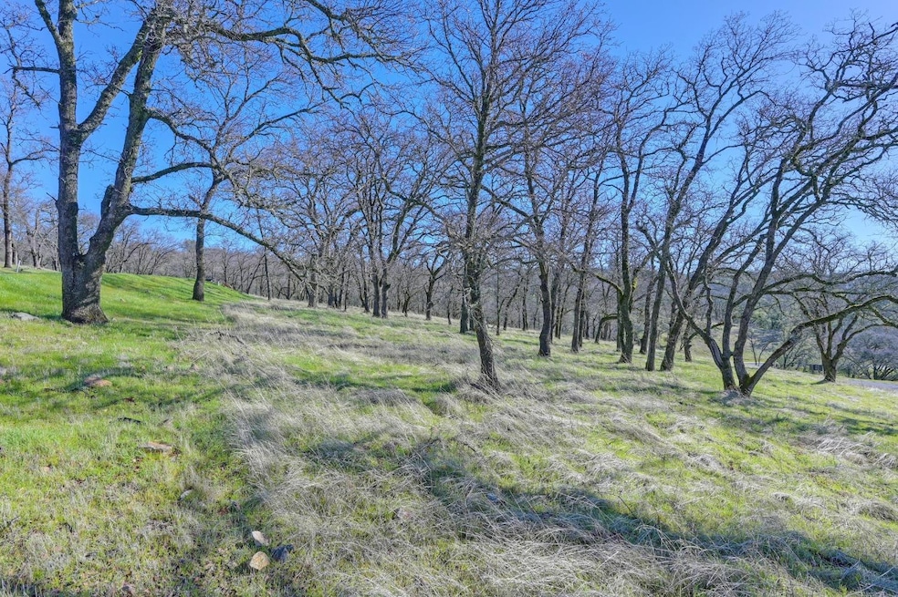 6725 Western Sierra Way, El Dorado Hills, CA 95762 - photo 1