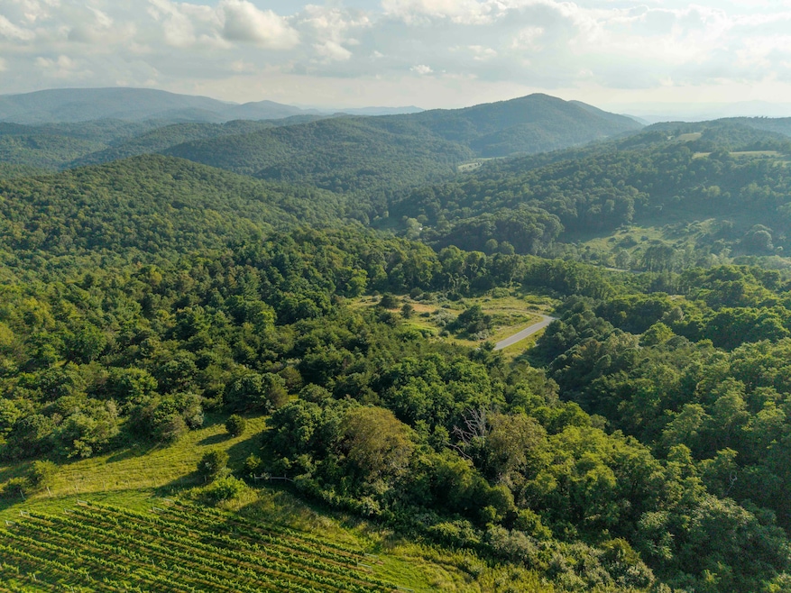 Twelve Ridges Way, Vesuvius, VA 24483 - photo 1