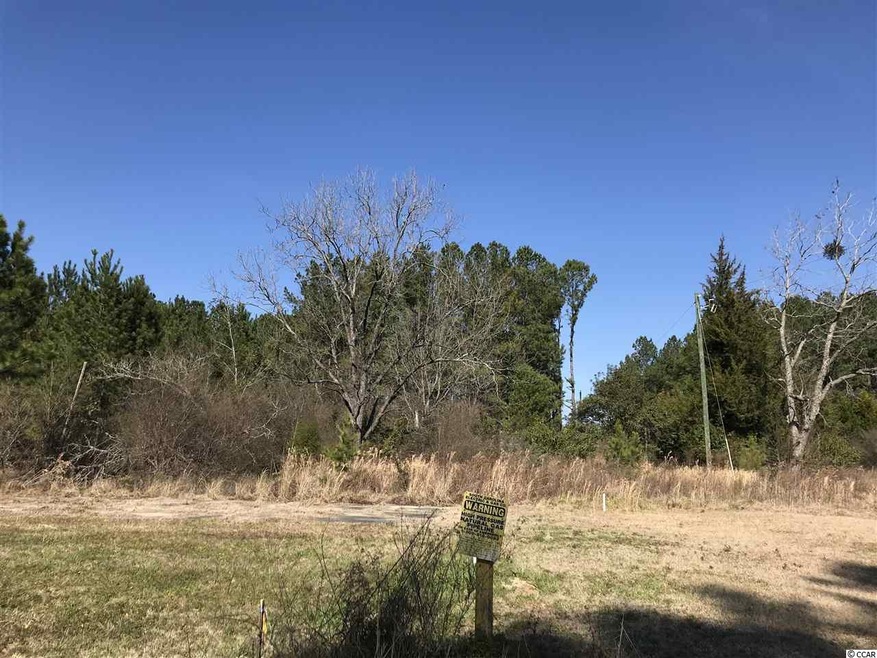 3994 Highway 378, Conway, SC 29527 - photo 1