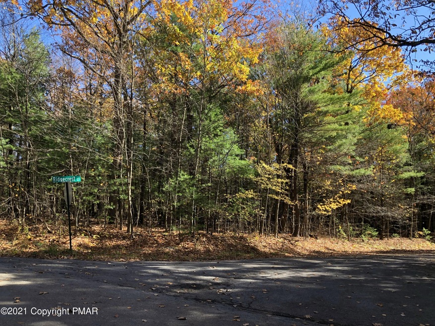 0 N Long Mountain Dr unit PM-92502, Effort, PA 18330 - photo 1