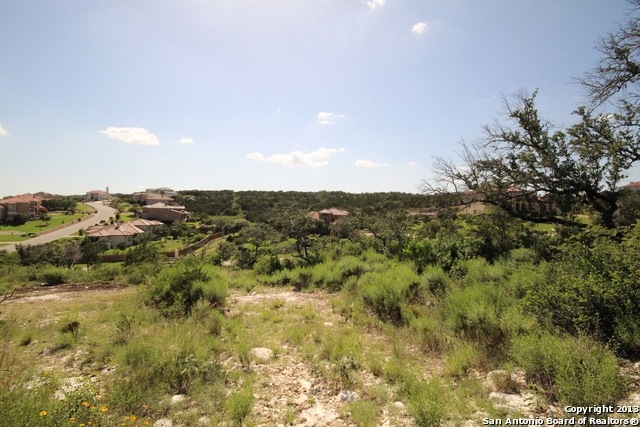 314 Santa Domingo, Helotes, TX 78023 - photo 1