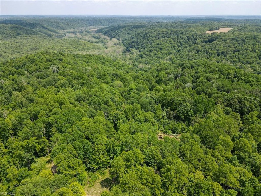 0 Stone Quarry Rd unit 4463440, Danville, OH 43014 - photo 1