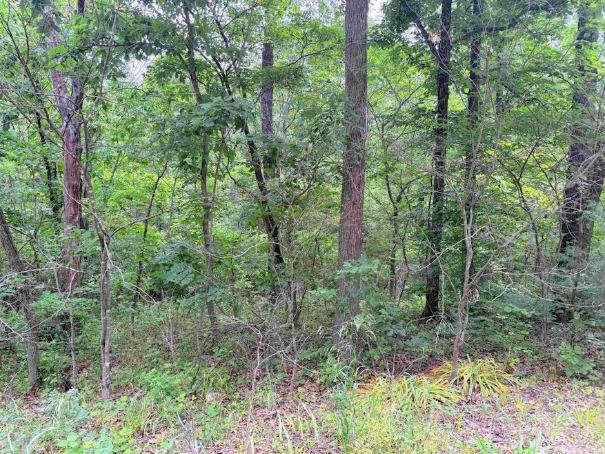 Highlander Place unit J 2, Edwards, MO 65326 - photo 1