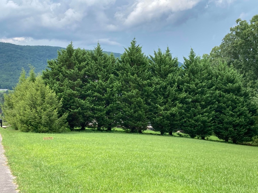 22 Fox Run Dr.