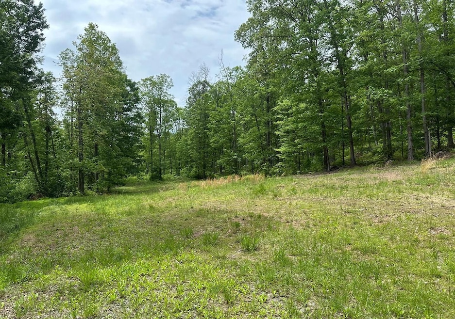 0 Woodmont Rd unit 23667528, Great Cacapon, WV 25422 - photo 1