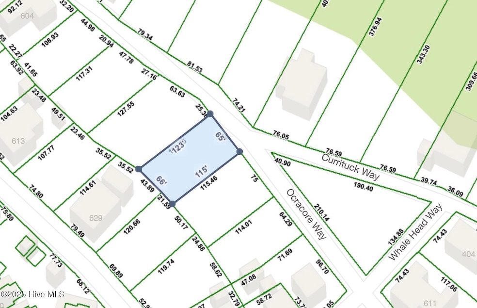612 Currituck Plat