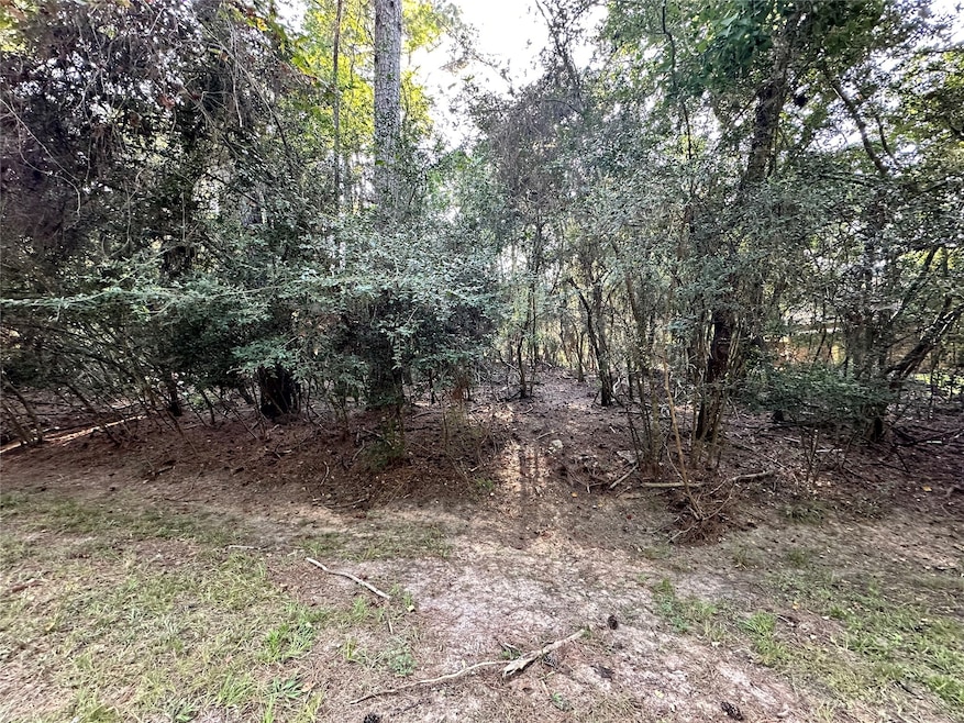 00 Mcdaniel Dr, Magnolia, TX 77354 - photo 1