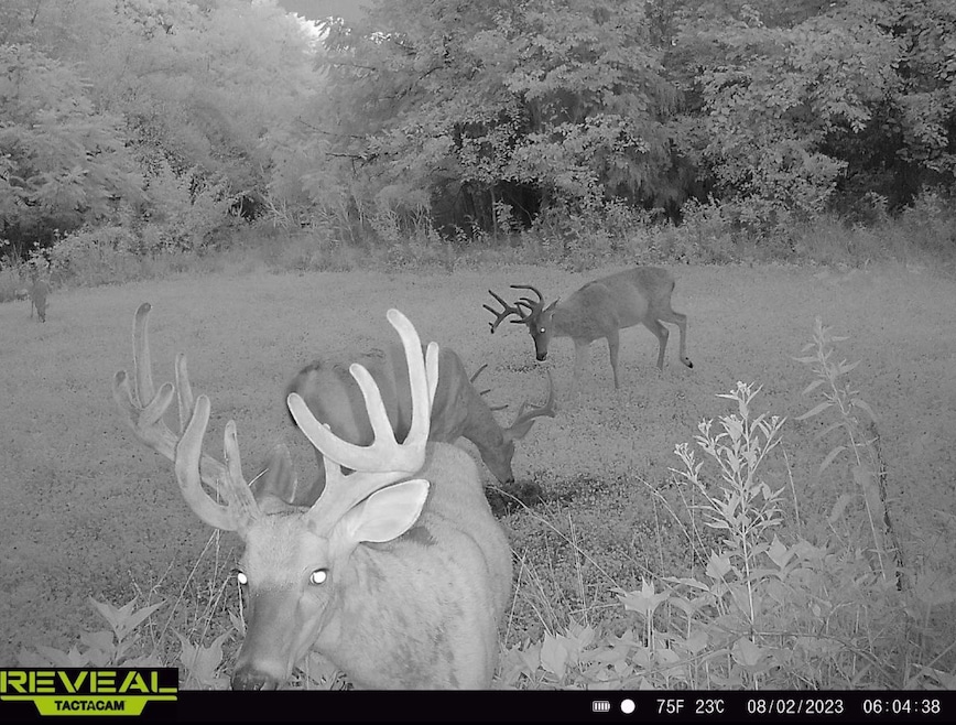 000 County Highway 7, Cisne, IL 62823 - photo 1