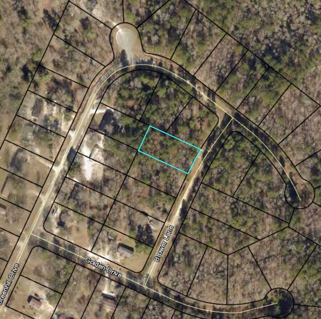 Lot 51
