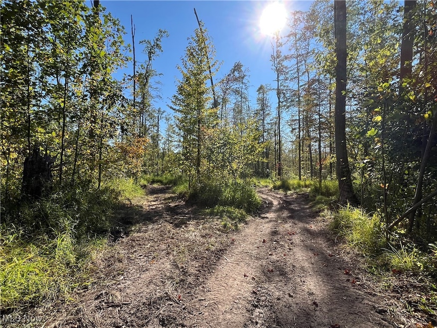 View of dirt / gravel road with a wooded view