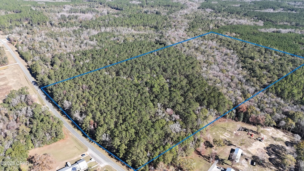 000 Hwy 179, Bonifay, FL 32425 - photo 1