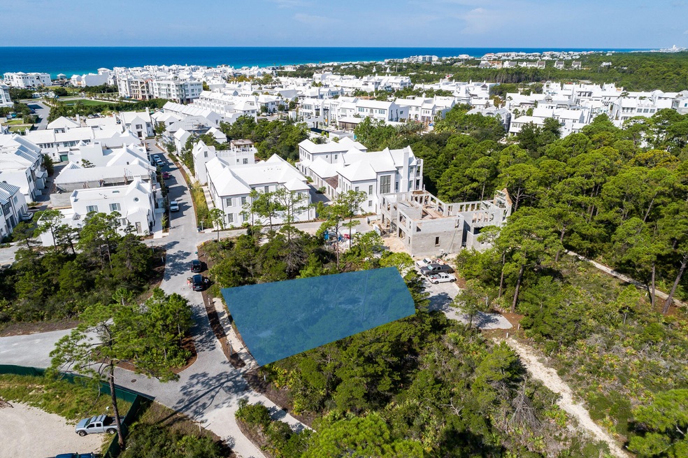 R5 Featherbed Aly, Alys Beach, FL 32461 - photo 1