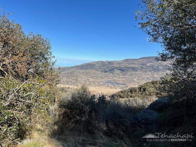 0 Skyline Dr unit 9992128, Tehachapi, CA 93561 - photo 1