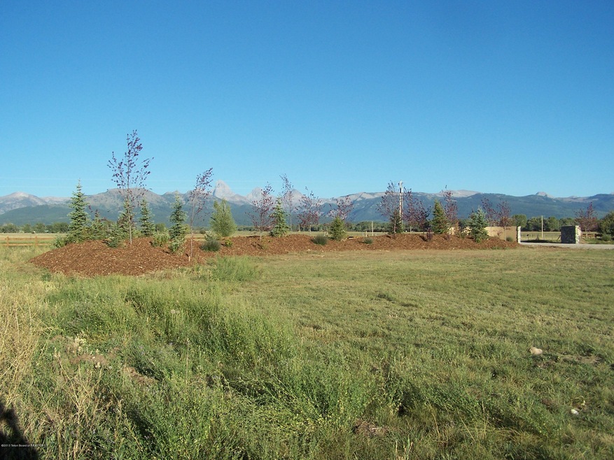 LEIGH MEADOWS Barked Berm and Views 001