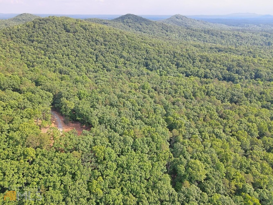 4480 Alec Mountain Rd, Clarkesville, GA 30523 - photo 1