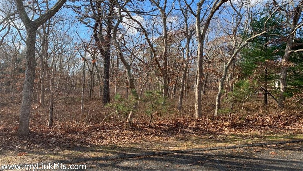 72 Windsor Dr unit 99.71, Edgartown, MA 02539 - photo 1