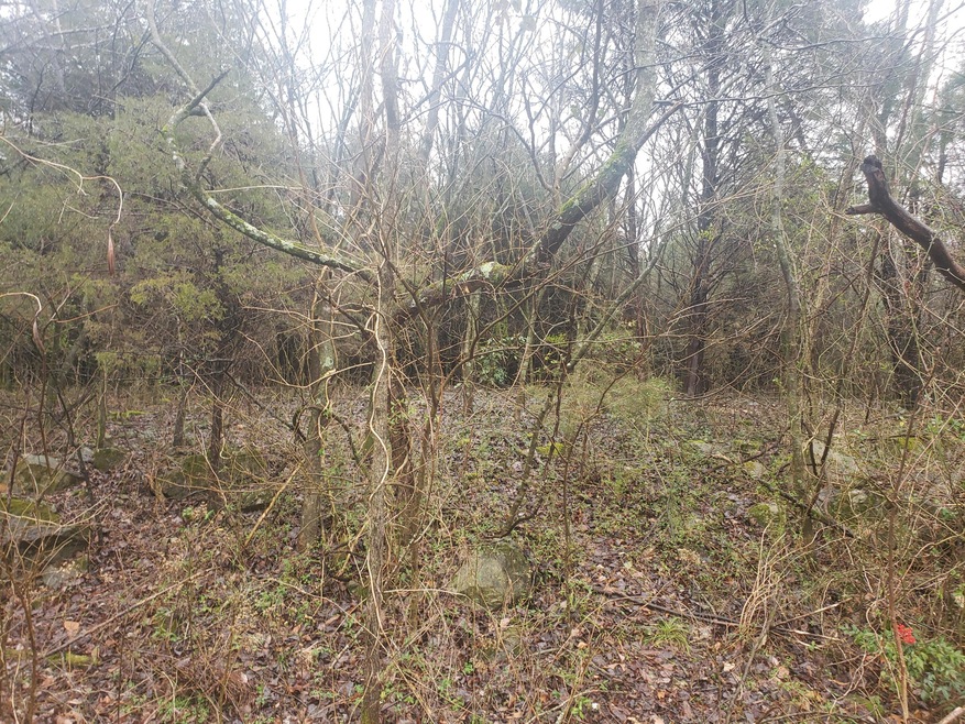 167 Dudala Way, Loudon, TN 37774 - photo 1