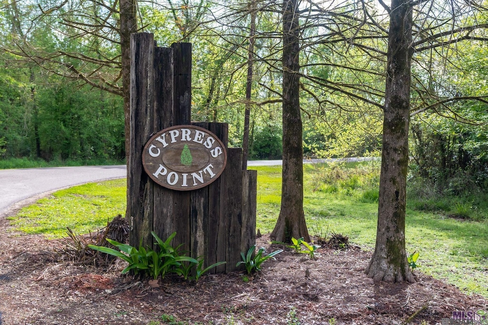 15898 Cypress Point Ln, French Settlement, LA 70733 - photo 1