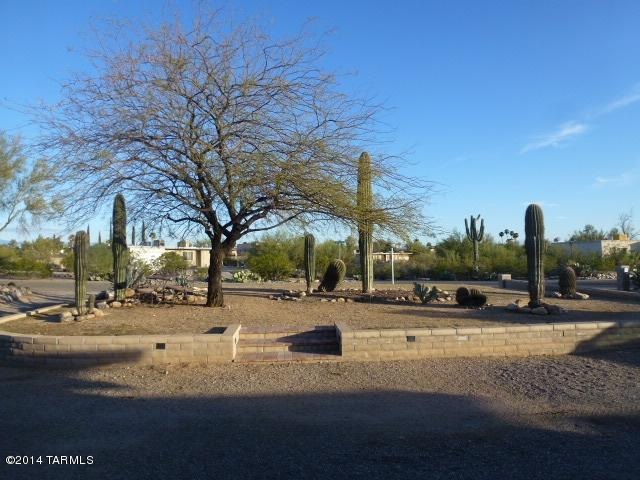 P1030040