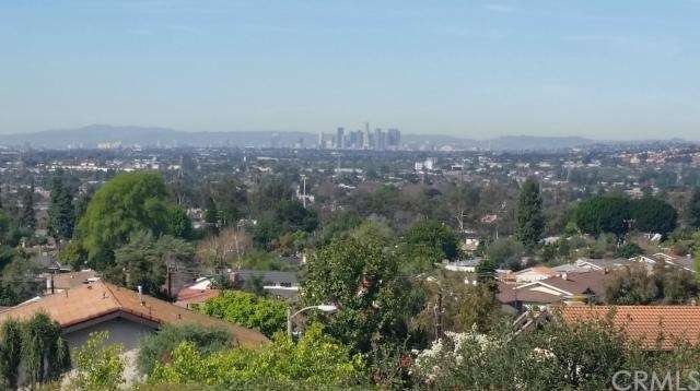 Views of Downtown LA... In Person Views are so muc