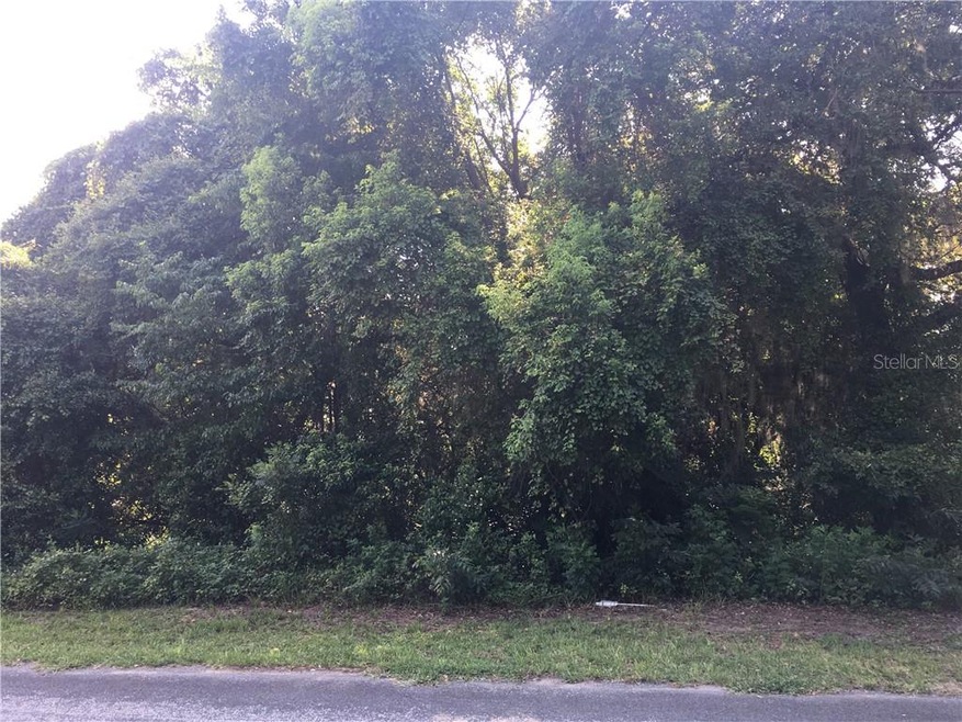 2933 S Cygnet Terrace, Inverness, FL 34450 - photo 1