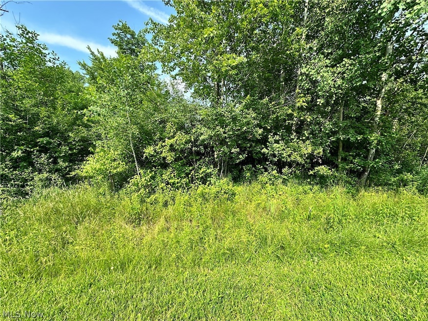 667 Wren Cir, Roaming Shores, OH 44084 - photo 1