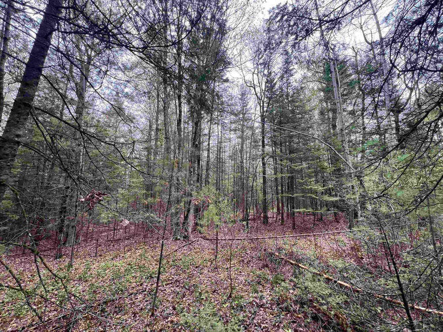 0 Bruette Rd unit 50312014, Wausaukee, City of, WI 54177 - photo 1