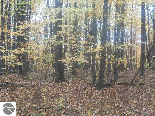 1733 Richard Dr, West Branch, MI 48661 - photo 1