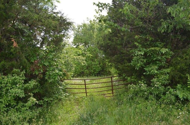 502 Votaw Rd, Harrodsburg, KY 40330 - photo 1