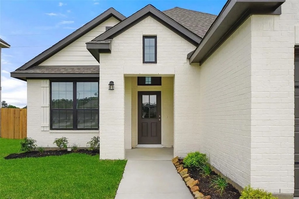 29811 Quinn Trails Ct, Tomball, TX 77375 - photo 1