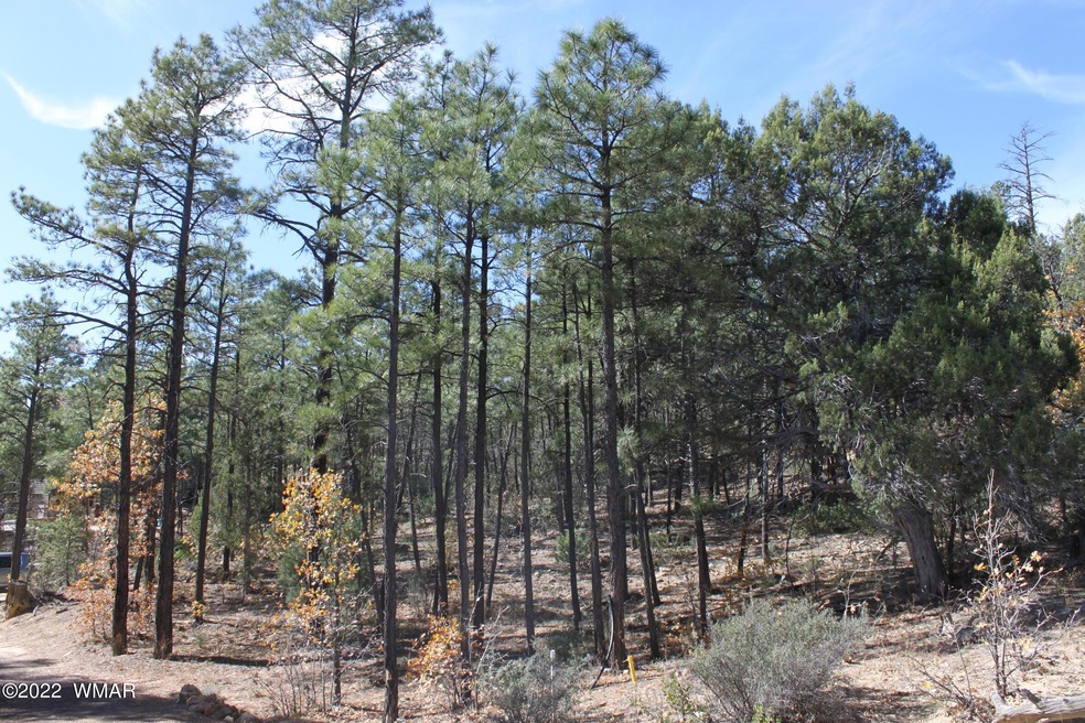 1970 S Pleasant View Dr, Show Low, AZ 85901 - photo 1