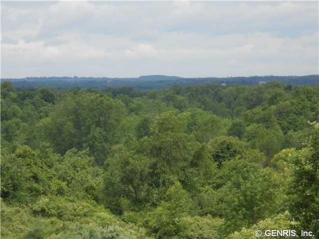 Land/Lot View