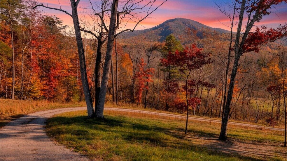 6742 Dawnwood & 0 Poage Valley Rd, Roanoke, VA 24018 - photo 1