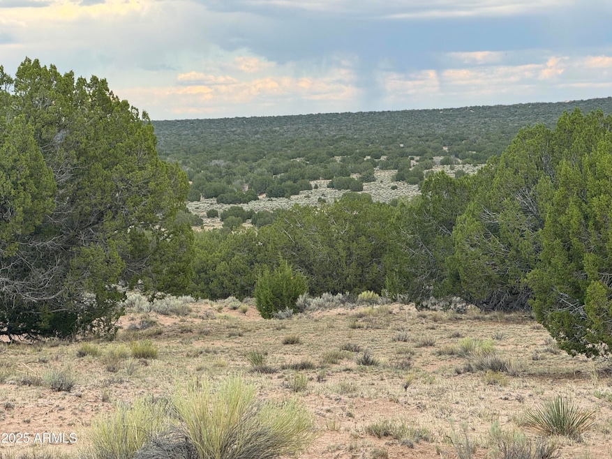 171 E Witch Well Ranches -- unit 171, Saint Johns, AZ 85936 - photo 1