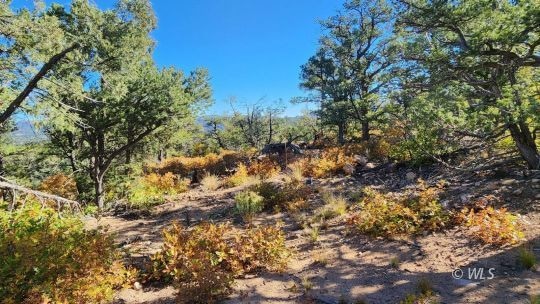 TBD L 42nd Trail, Cotopaxi, CO 81223 - photo 1