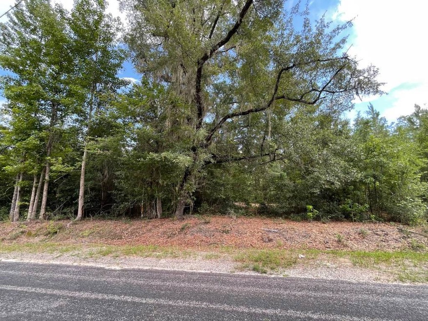 TBD Rivers Hill Rd unit B1, Varnville, SC 29944 - photo 1