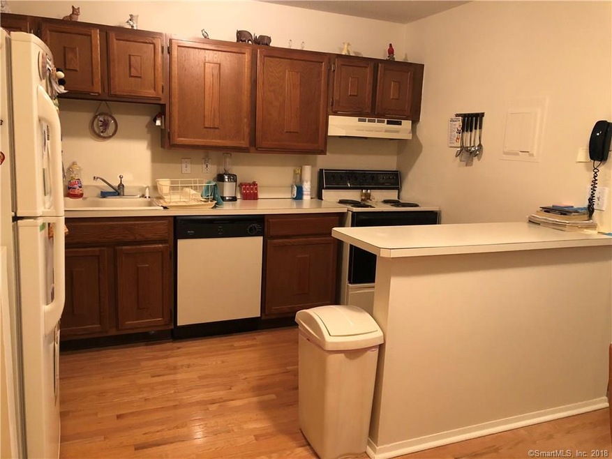 81 Balance Rock Rd unit 21, Seymour, CT 06483 - photo 1