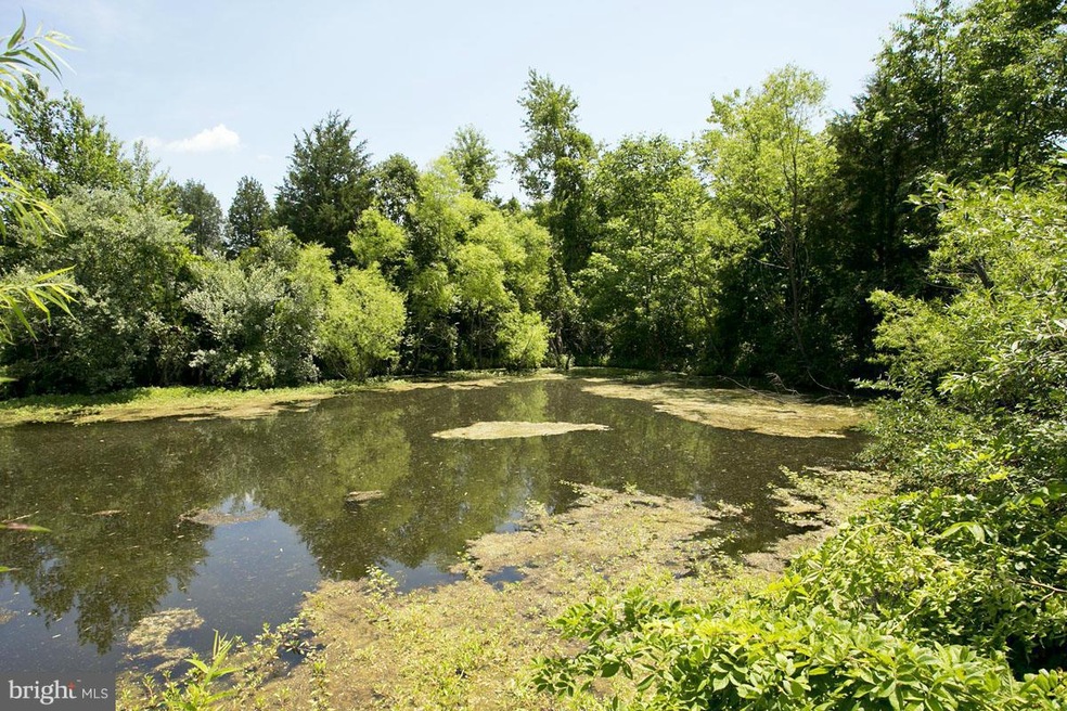 52 Wayside Mill Ln, Middletown, VA 22645 - photo 1