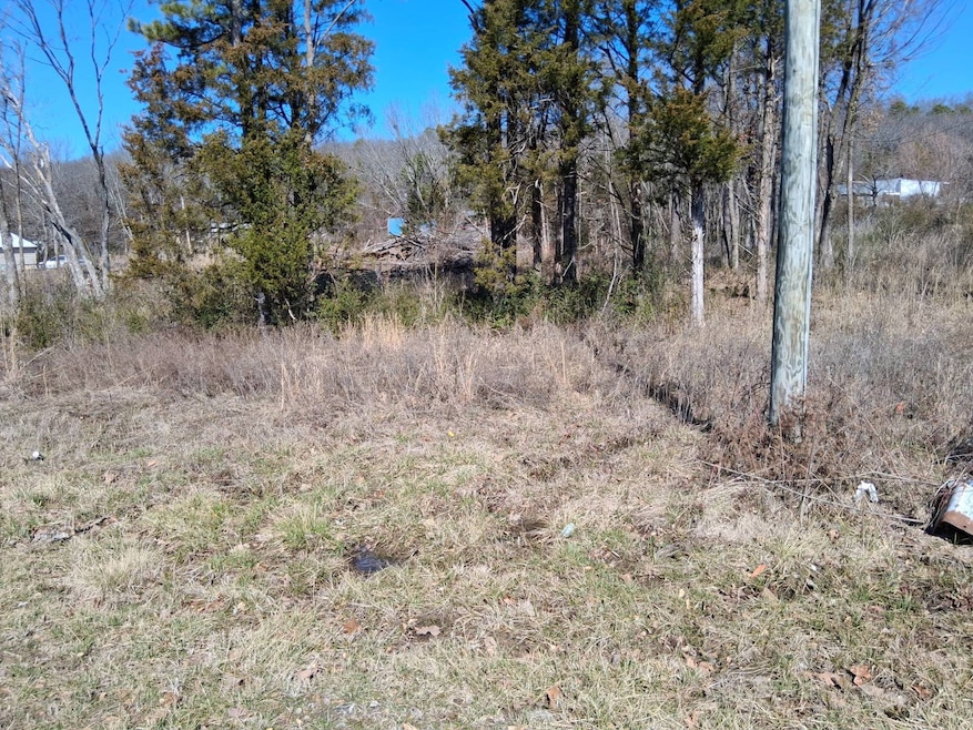 2 lots Lutie Rd, Wilburton, OK 74578 - photo 1