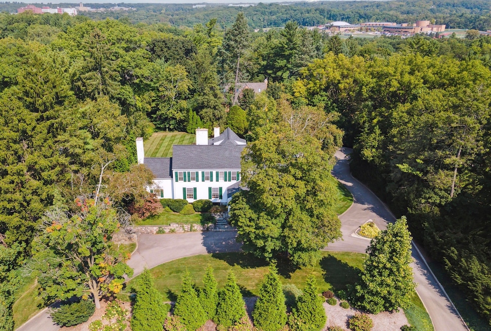 Aerial Shot
