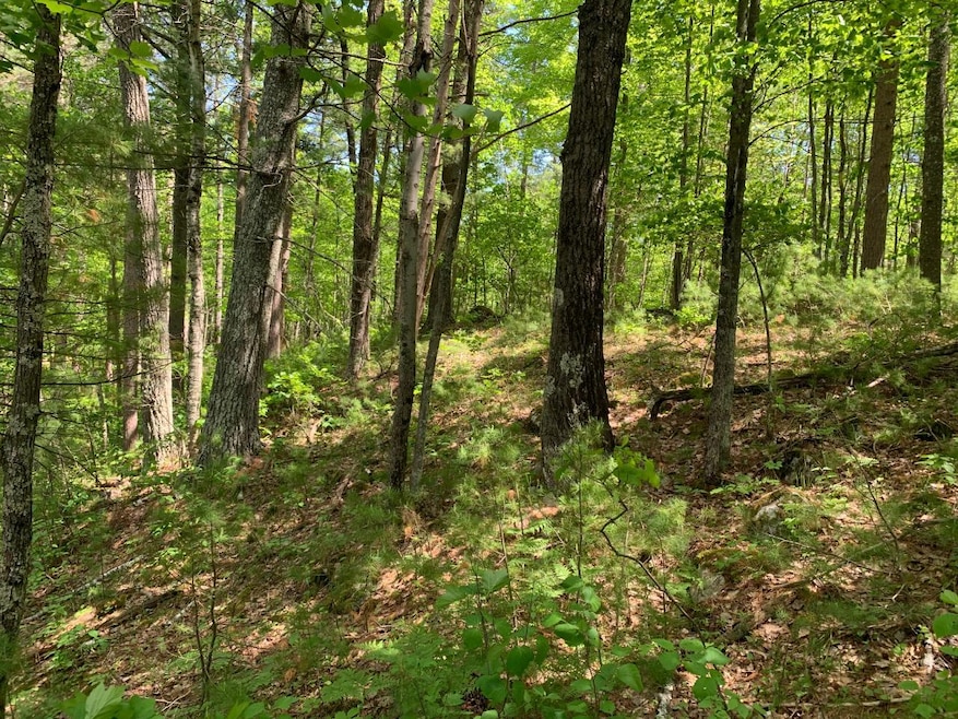 Lot 17 McCarthy Lake Rd, Tomahawk, WI 54487 - photo 1