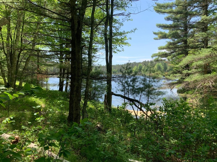 Lot 2 McCarthy Lake Rd, Tomahawk, WI 54487 - photo 1
