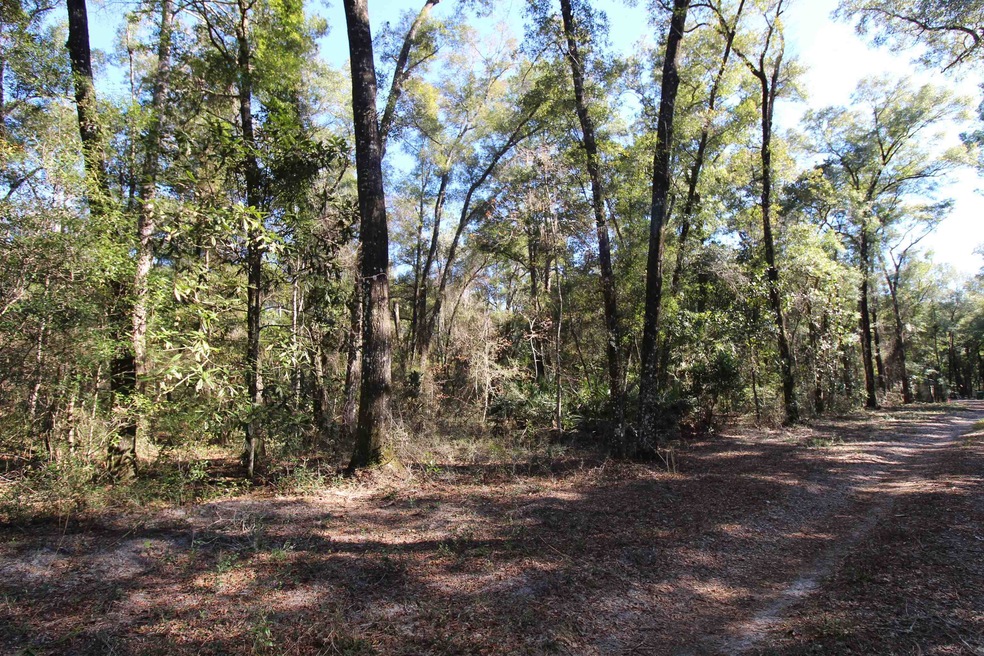 65 Simmie Dr, Crawfordville, FL 32327 - photo 1